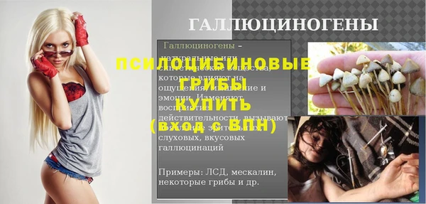 соль ск Абаза